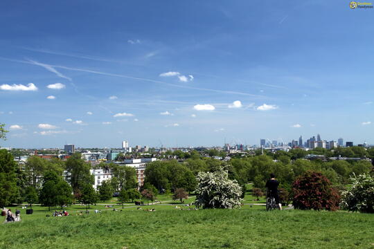 Primrose Hill NW1, NW3, NW8 Handyman